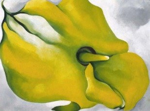 ✨Georgia O&rsquo;Keeffe: A Two-Part Lecture with Beth Stein✨
Discover the life, vision, and artistic evolution of Georgia O&rsquo;Keeffe in this illuminating two-part lecture with art historian Beth Stein. Explore the stories, influences, and bold in