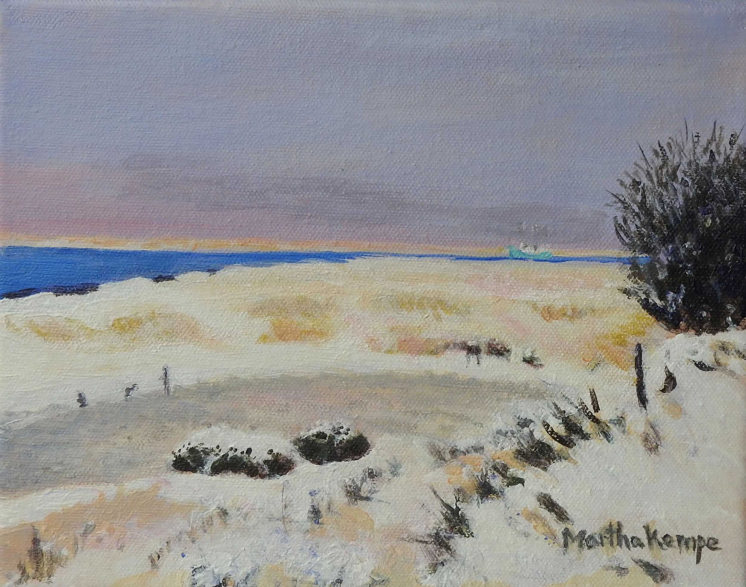 A Blanket of Snow.JPG