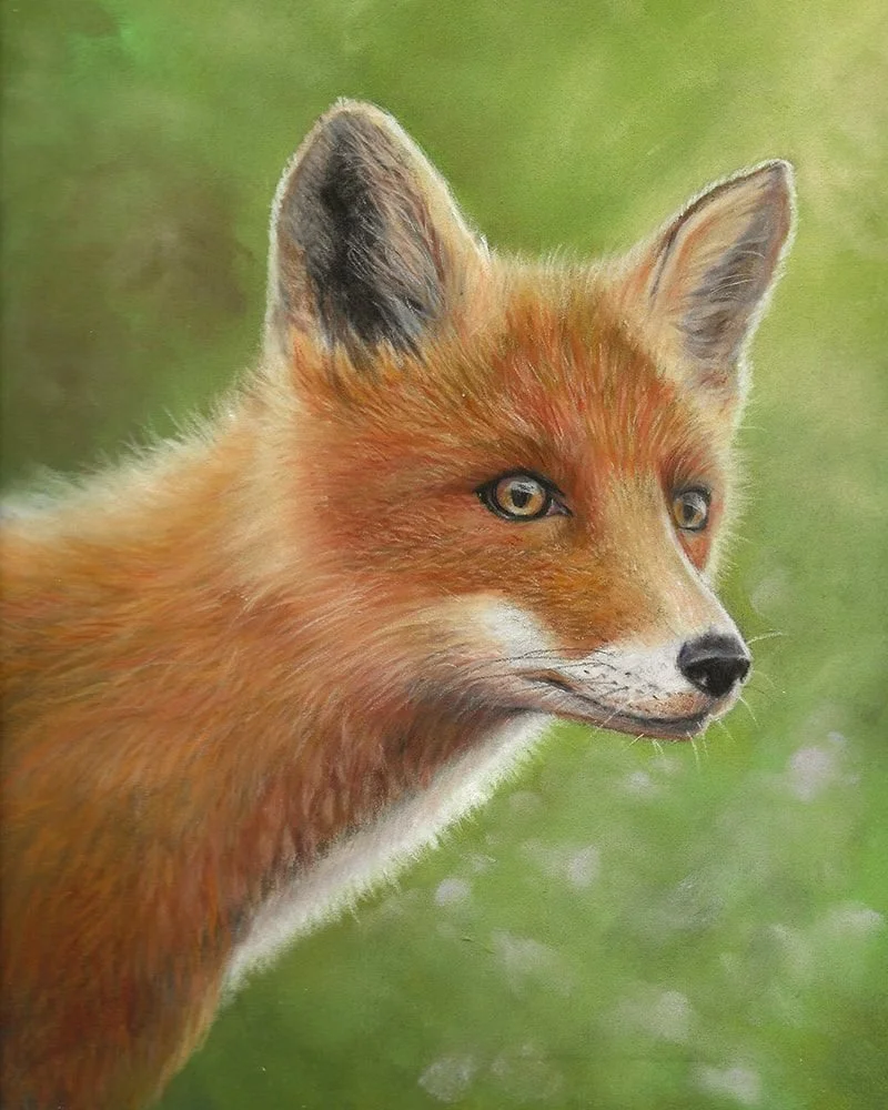 fox-pastel-8x10-mlf.jpg