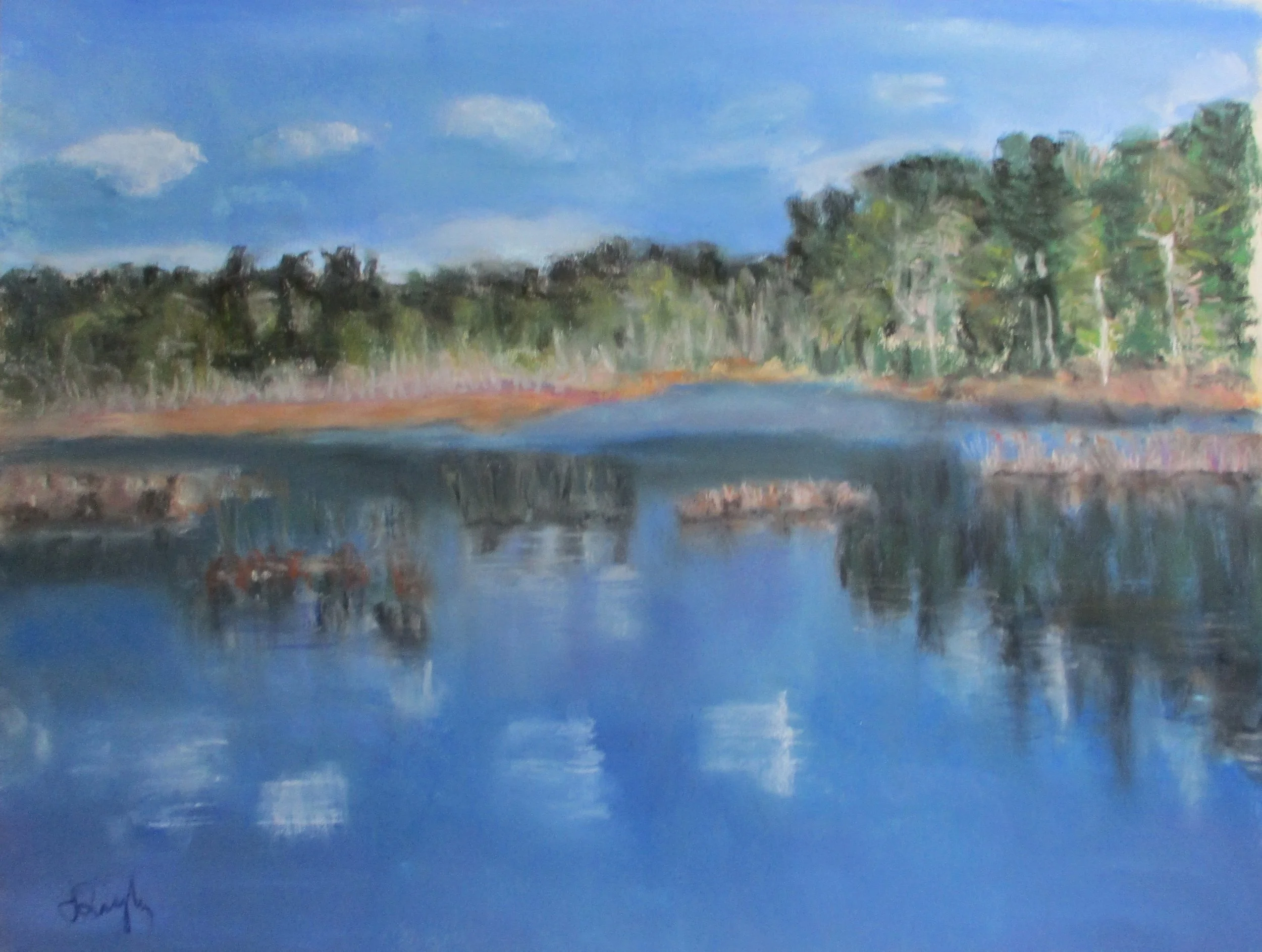 Spring marsh clouds.1.JPG