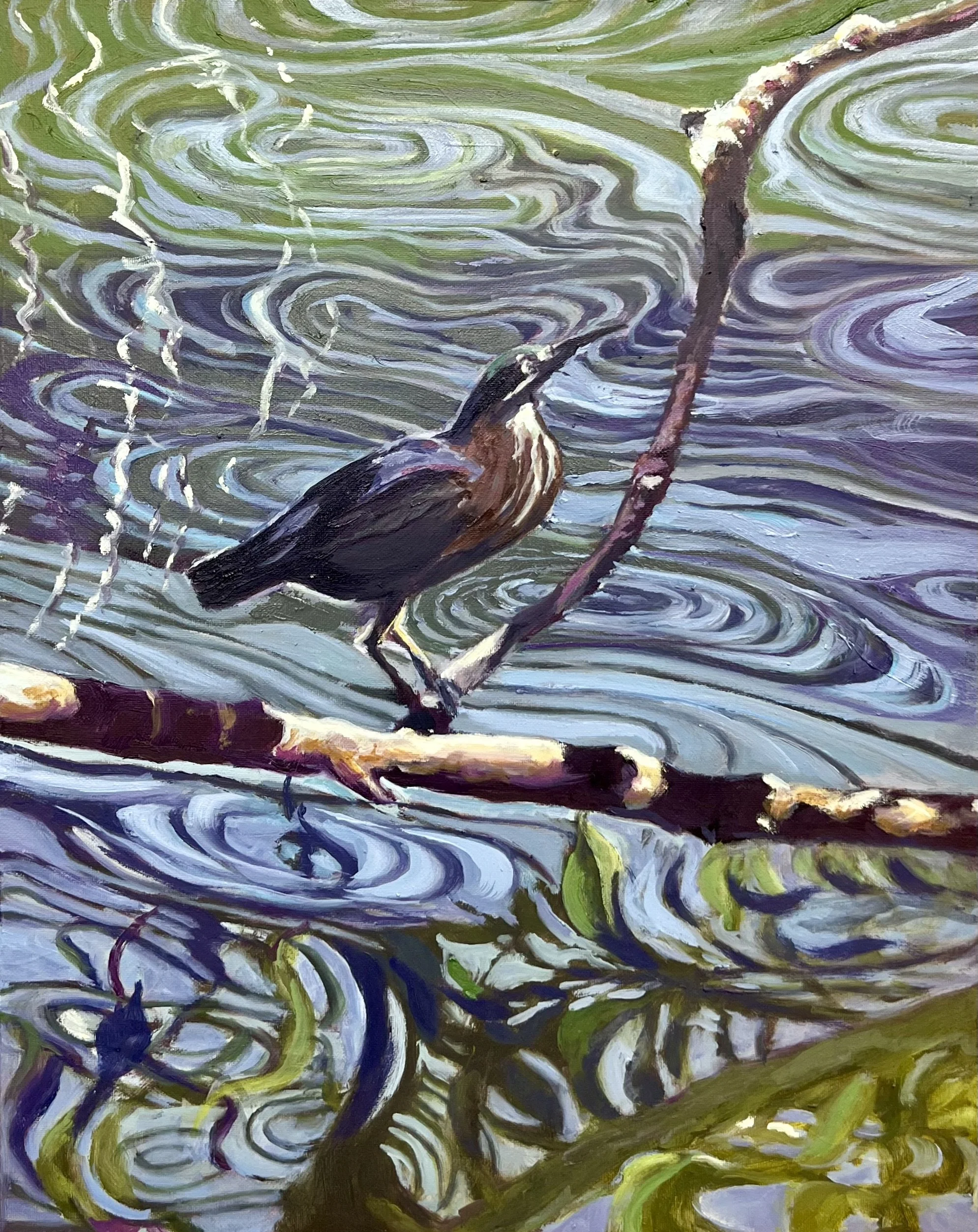 greenheron.jpeg