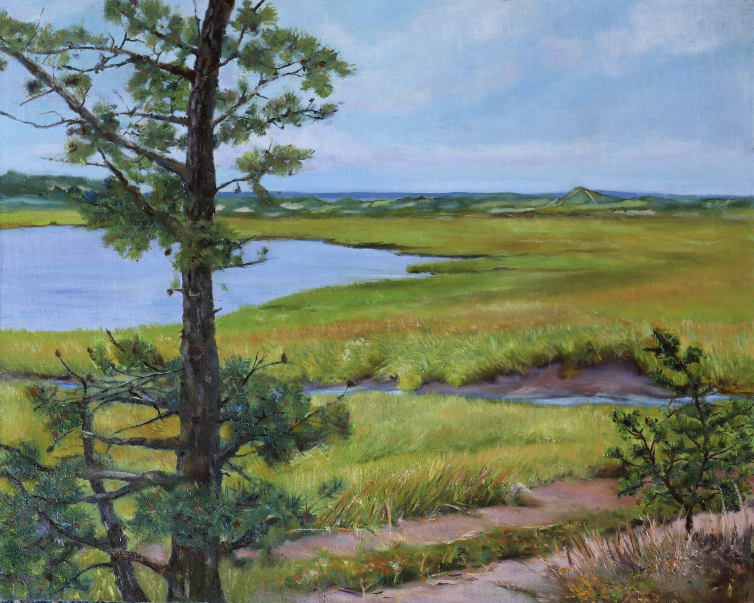 Great Island Pine RJordan.jpg