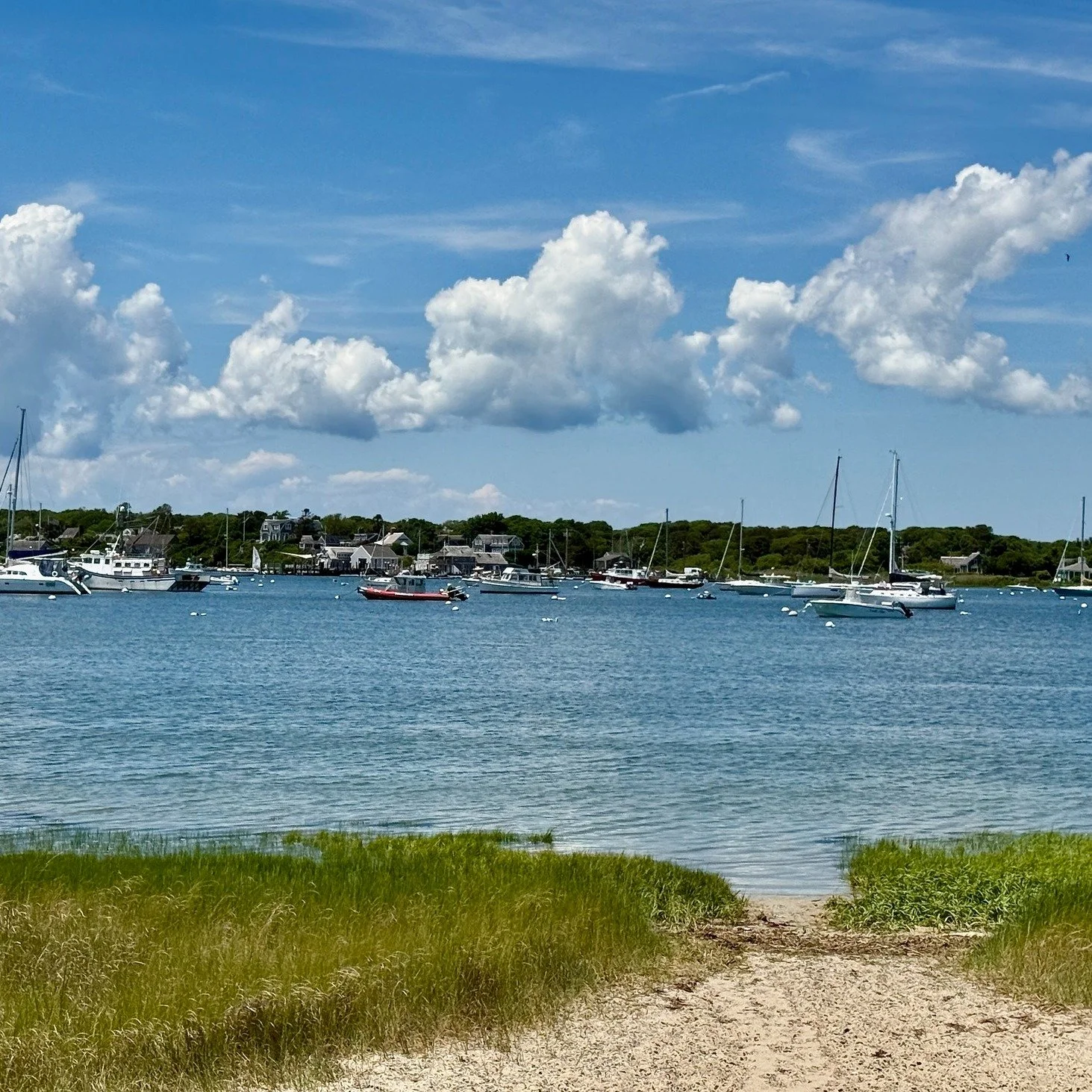 📸 See Morris Island Through a New Lens

Join photographer Paul Muratore for a fun, hands-on photography workshop at the beautiful Morris Island Causeway in Chatham.

Thursday, August 13
10:00 AM &ndash; 12:00 PM

Whether you use a smartphone or a ca