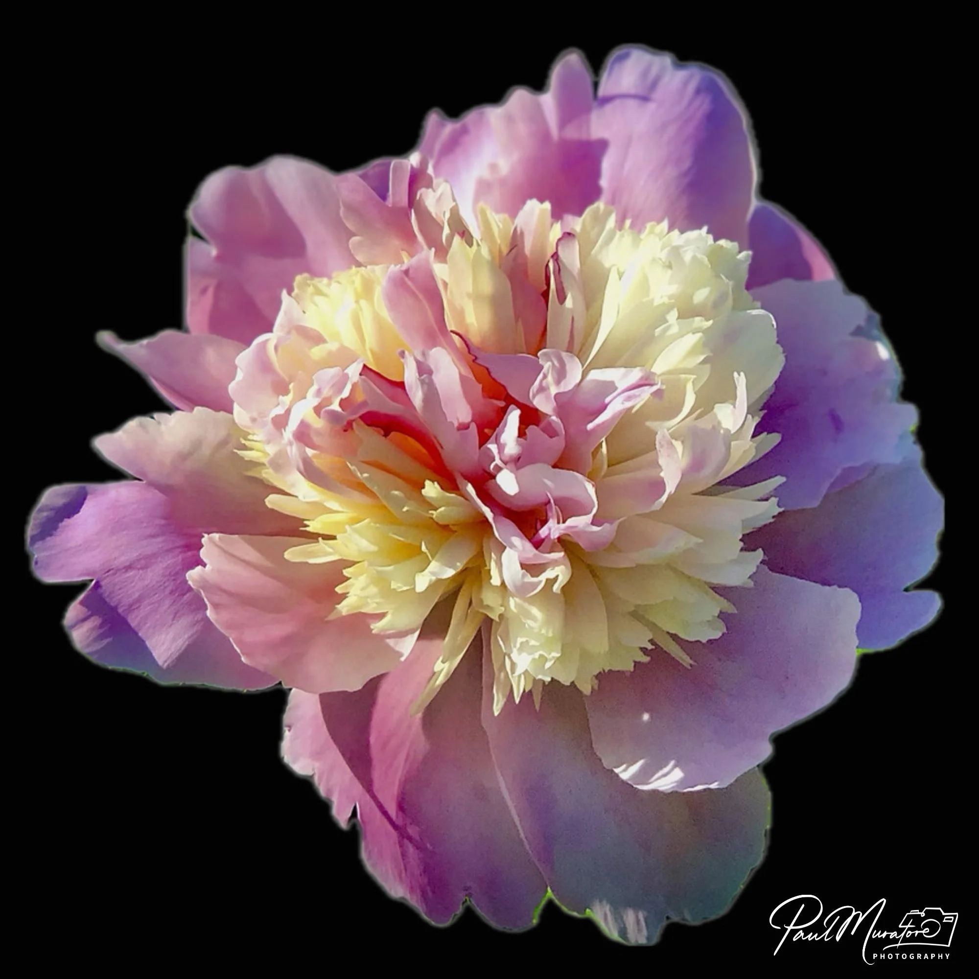 Untitled (14 x 11 in) (10 x 8 in) (1).jpg