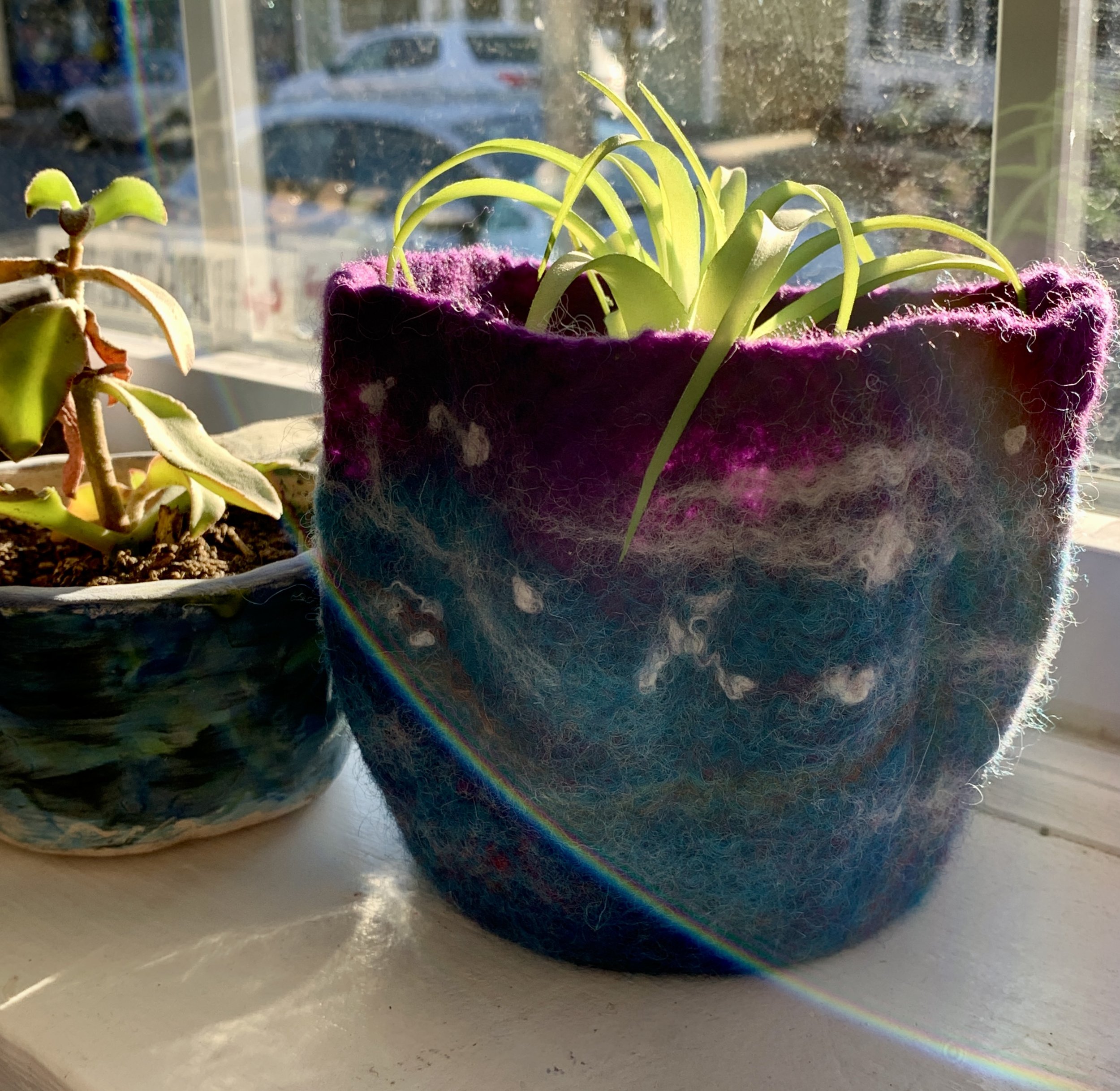Fluted Blue bowl with plant.JPG