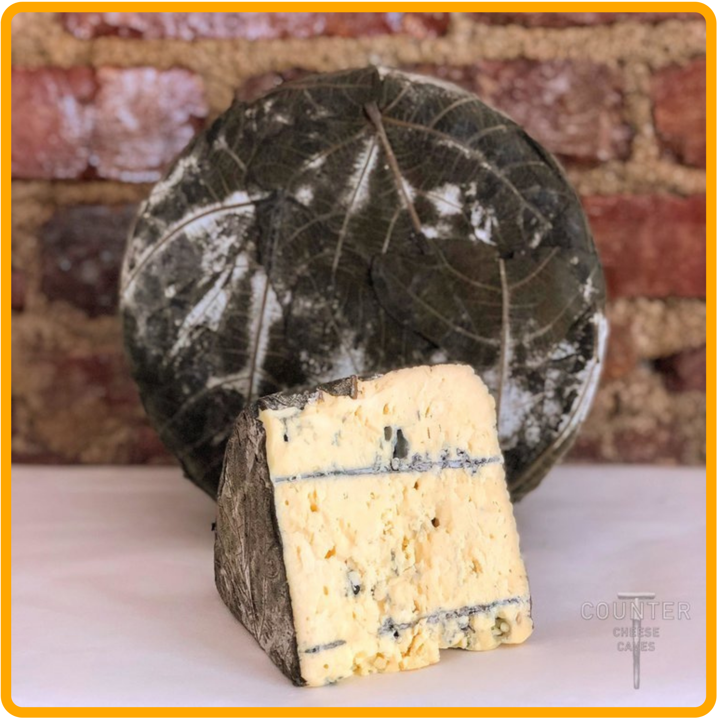 Sequatchie Cove Creamery Shakerag Blue