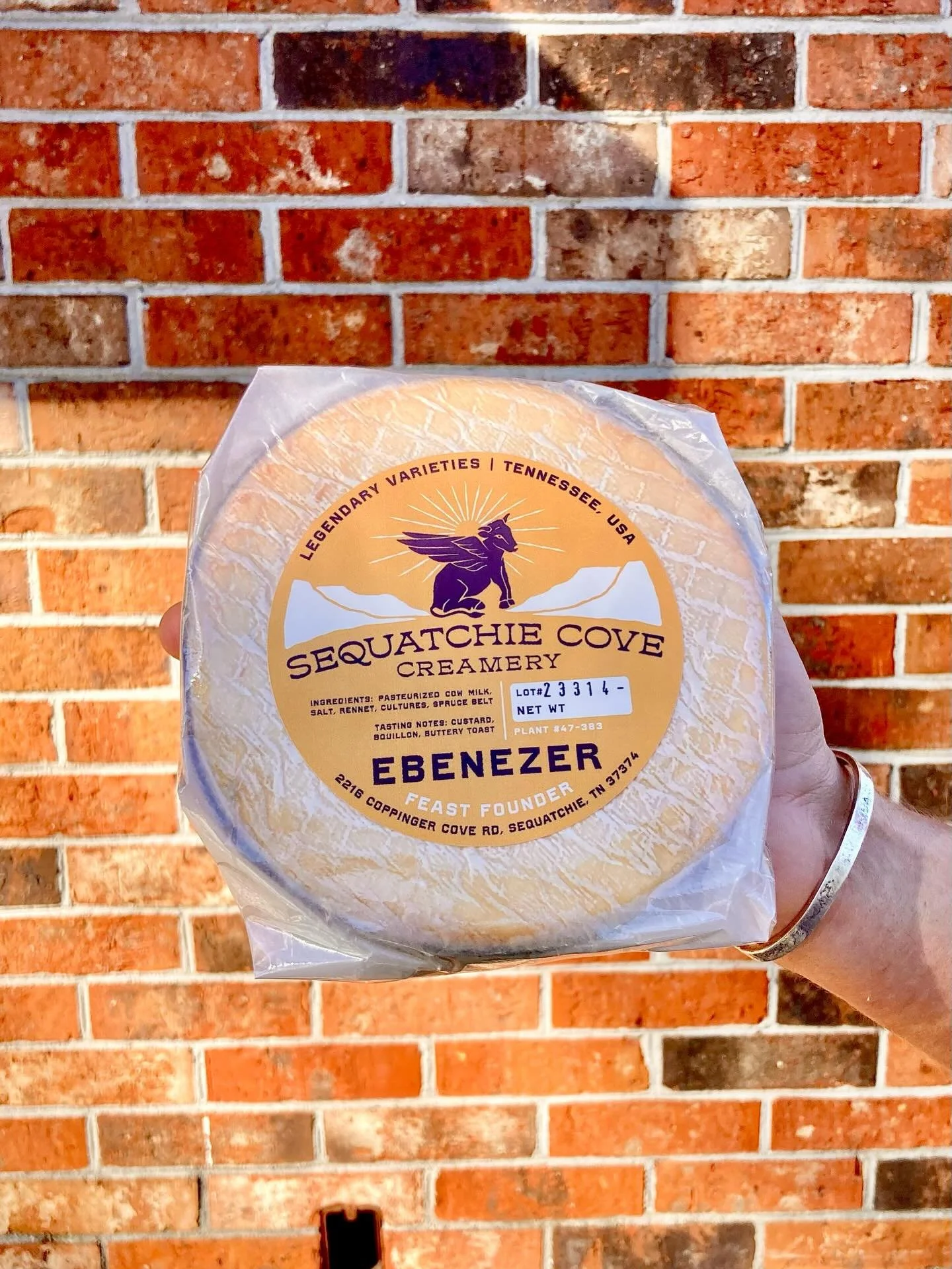 It&rsquo;s celebratin&rsquo; season! Get your butt to the shop and/or @seaislandfm to grab a spruce wrapped wheel to share with your special people as we close out 2025 💫