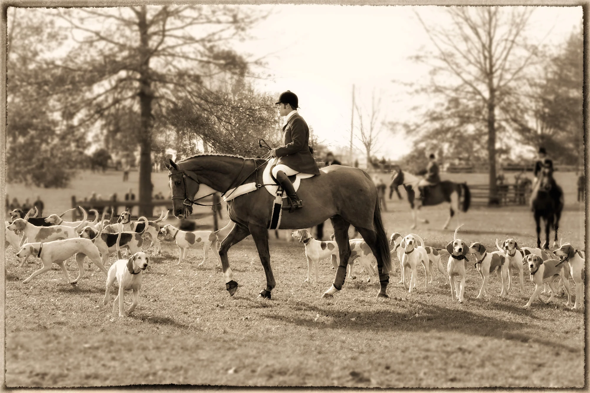Huntsman&HoundsGlow.jpg