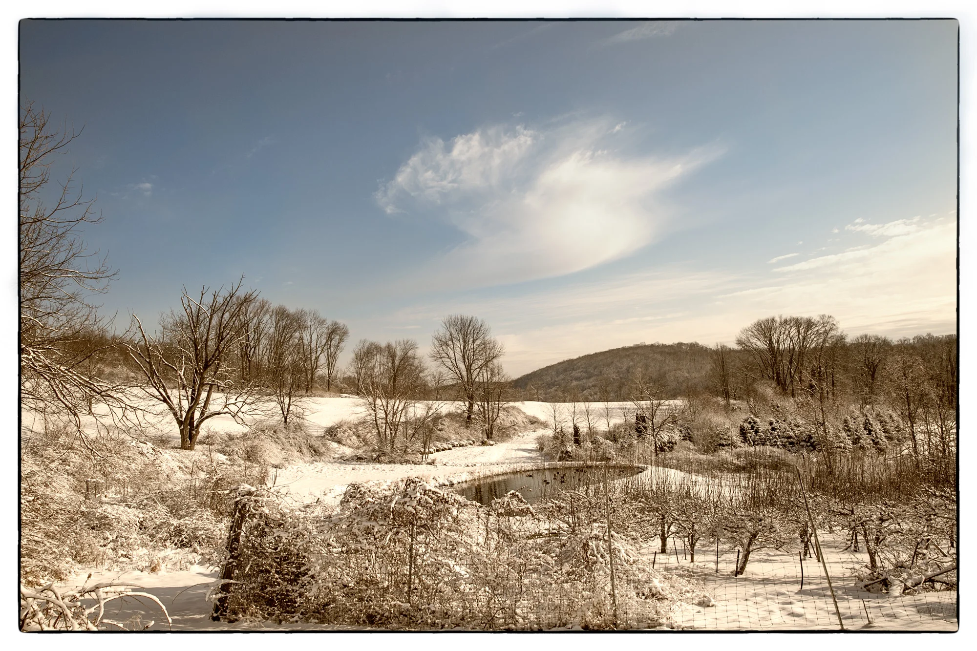 PickleRoad-Pano.jpg