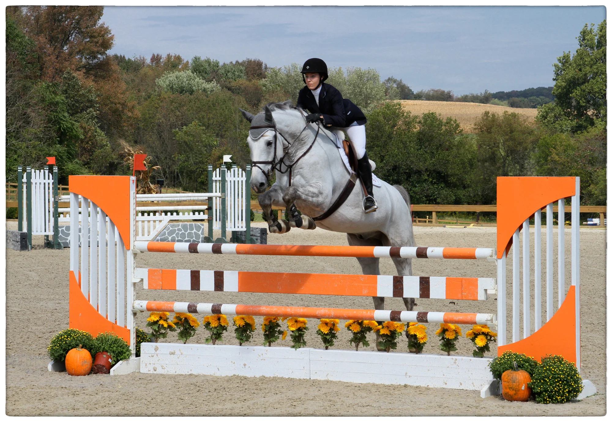 Jumper-whiteHorse.jpg
