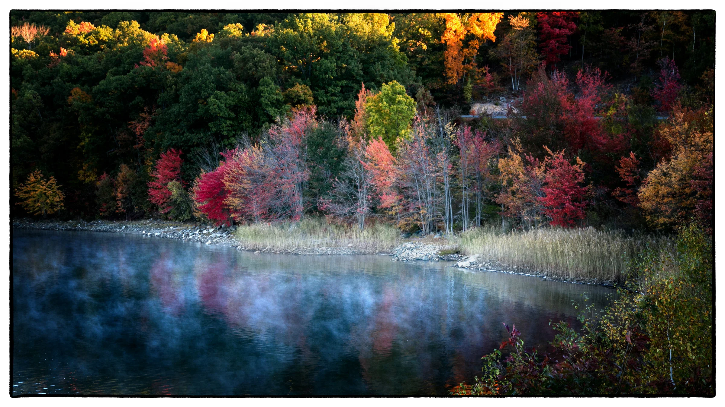 Quabin-Cove-1a.jpg