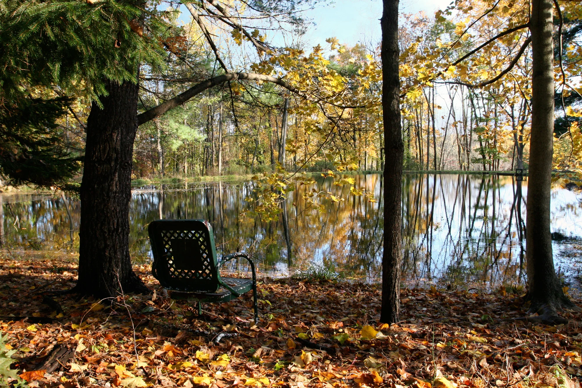 GreenChair.jpg