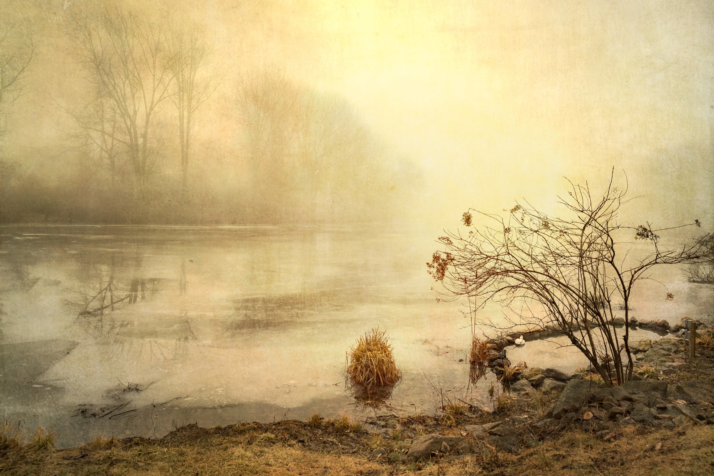 BrookFog&WiteDuck.jpg