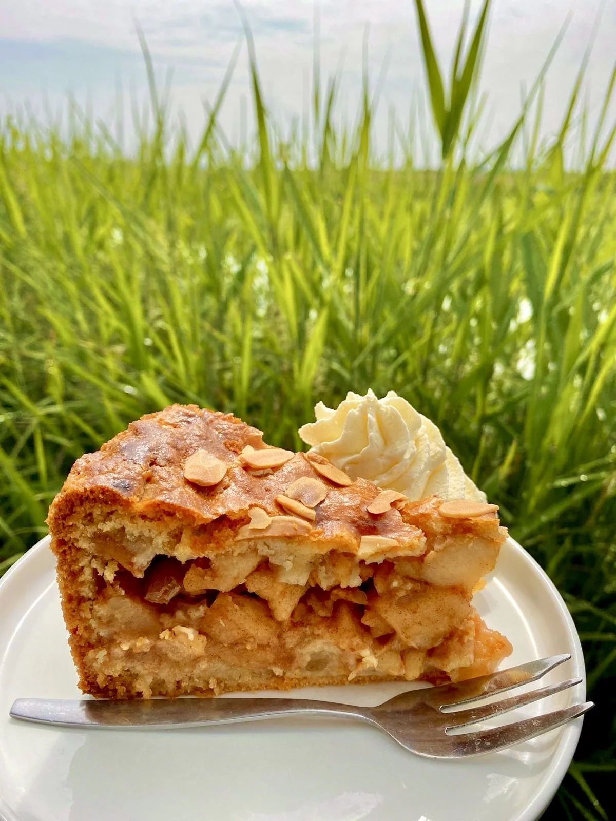 Appeltaart Bootverhuur Overleek.JPEG