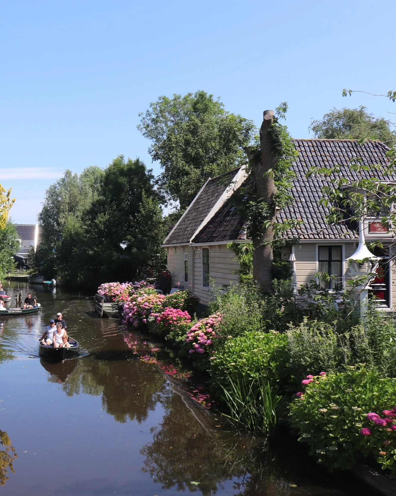 rustige elektrische vaartocht door waterland