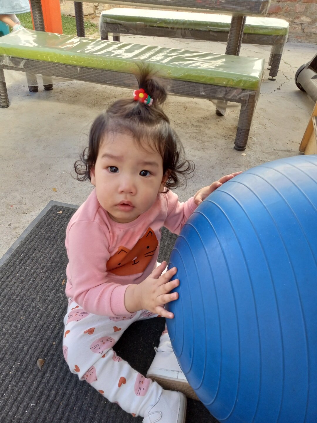 IMG_4230.jpeg