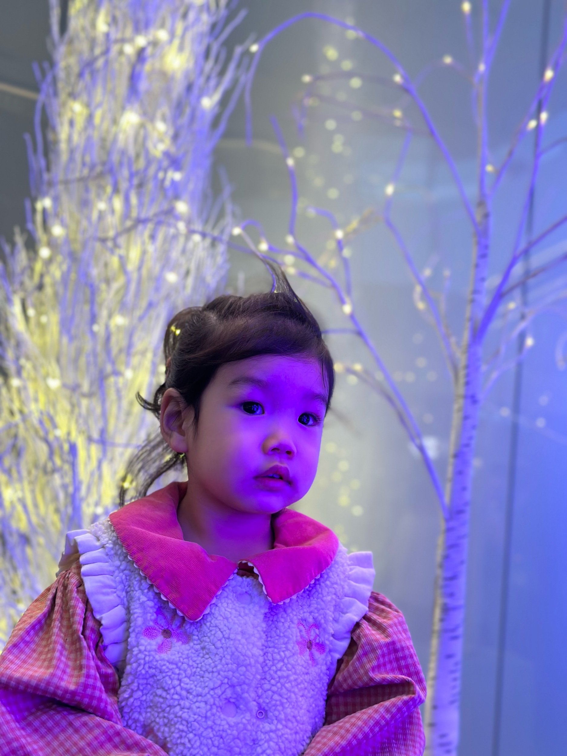 IMG_7284.jpeg