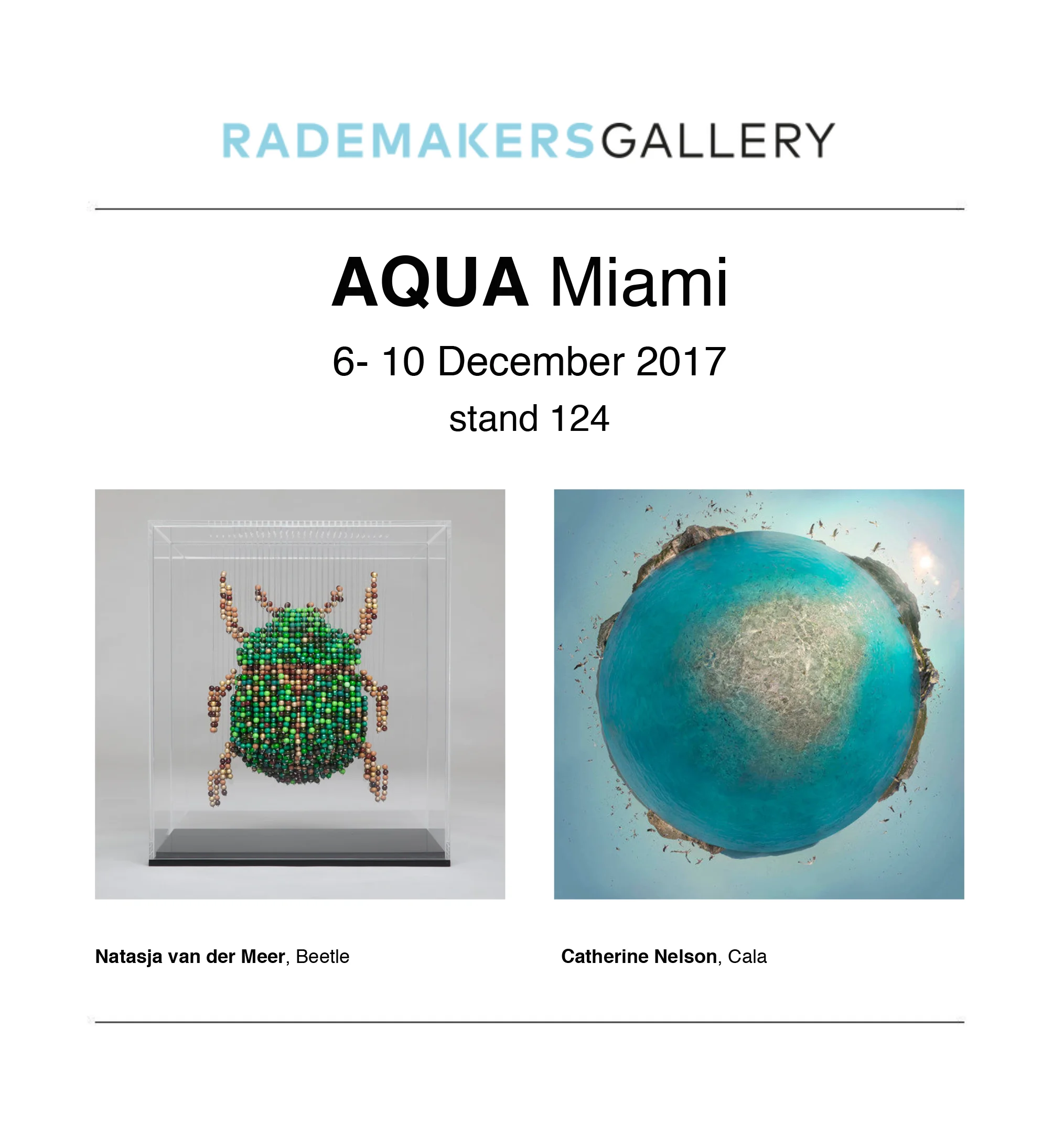 Rademakers Gallery Newsletter-2.jpg