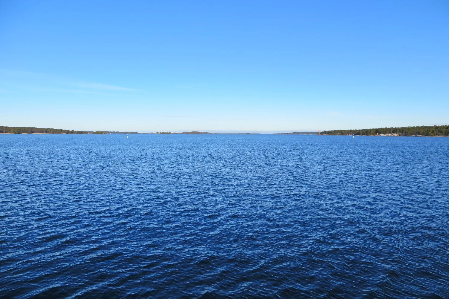 IMG_1798 1500 width.jpg