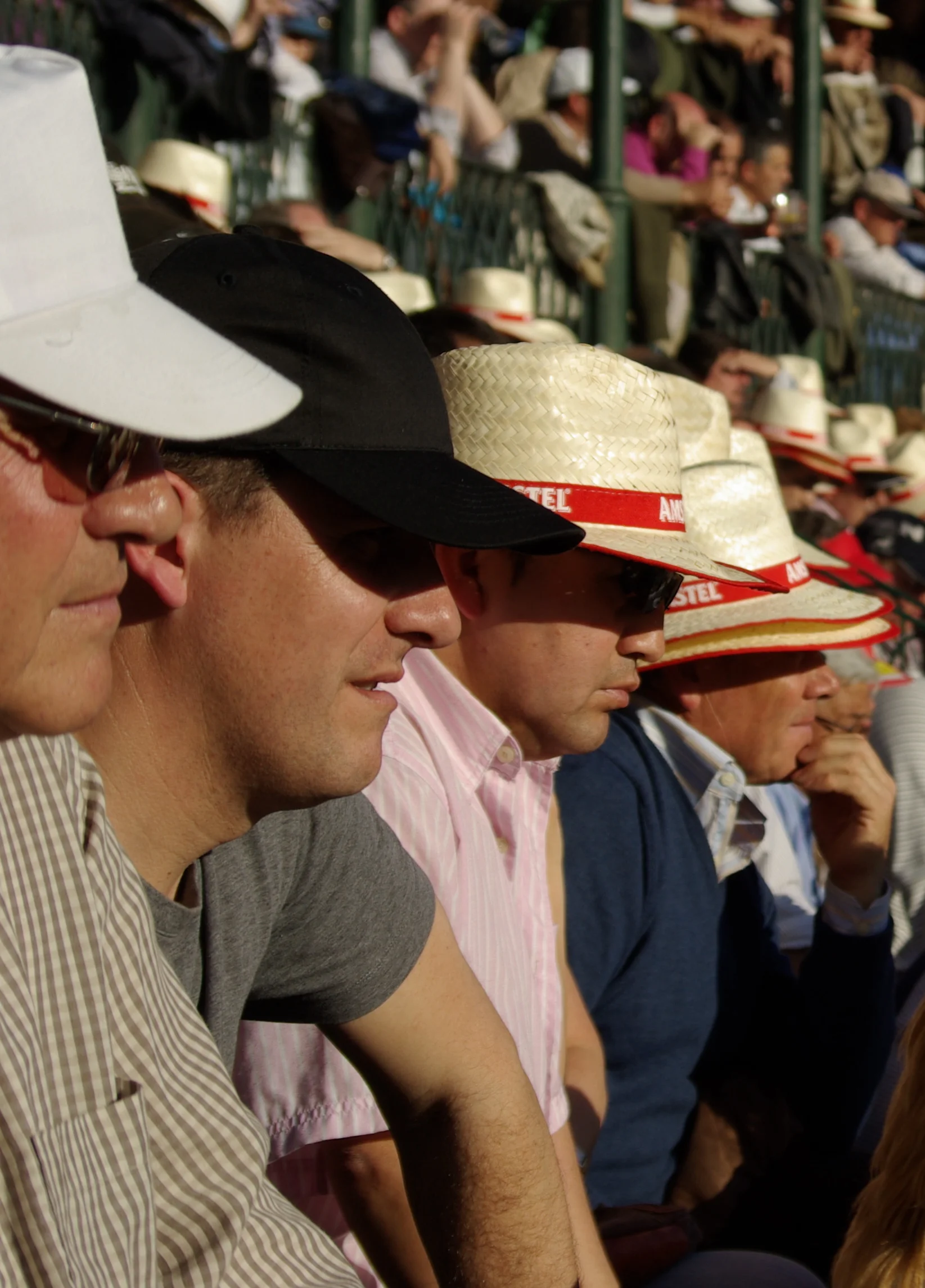 bullfight spectators.jpeg