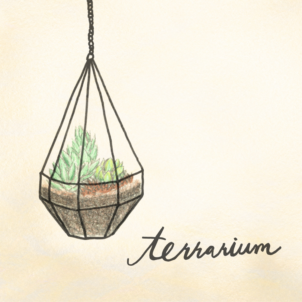 Terrarium.jpg