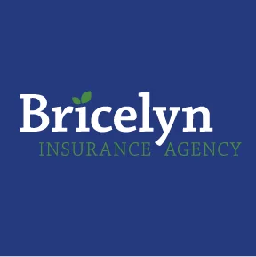 BricelynIA_Logo_Gallery.jpg