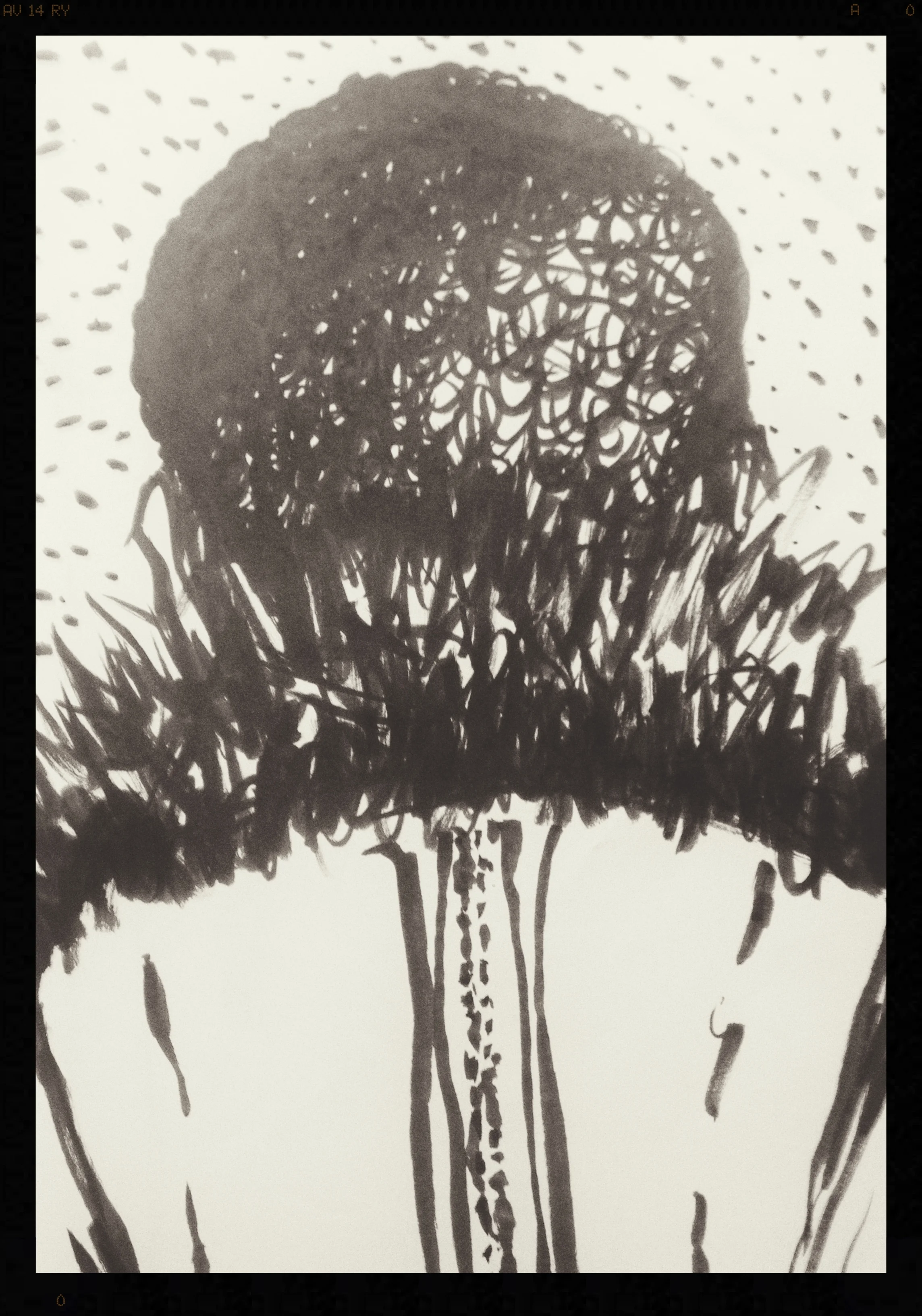 Back of Man's head in Catford.