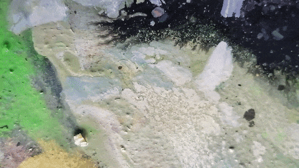 ezgif.com-gif-maker (16).gif