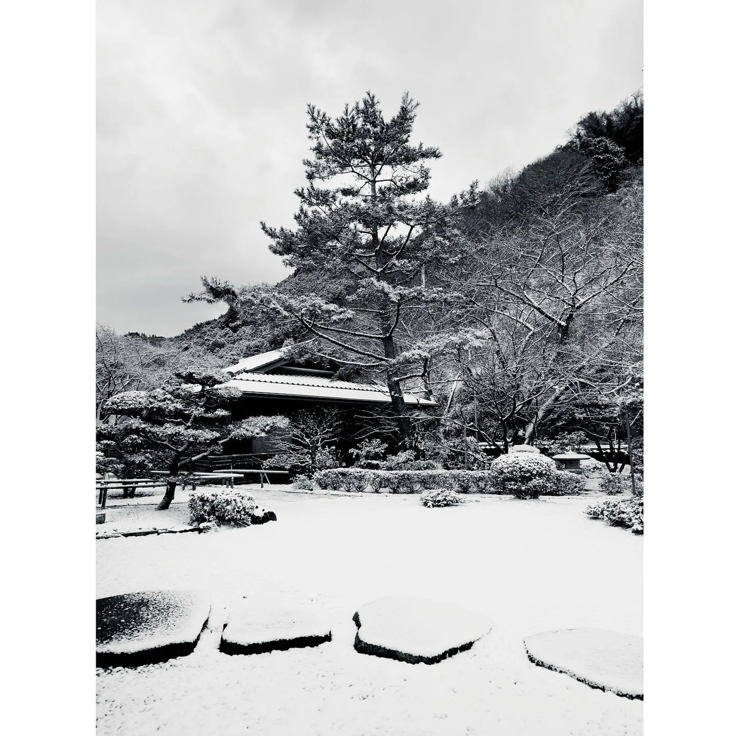 Premi&egrave;re neige et dernier jour &agrave; #osaka 🙏🏻@danielegerkens  @elledecorationfr #japan