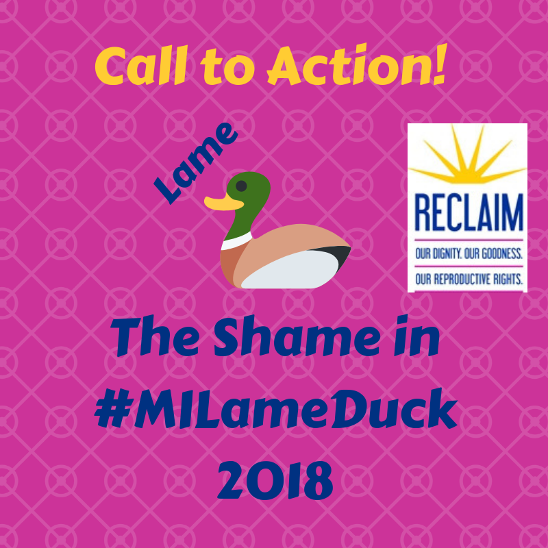 Call to Action! Stop the Shame in #MILameDuck 2018!
