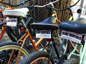 Rental_Bikes_2014.jpg