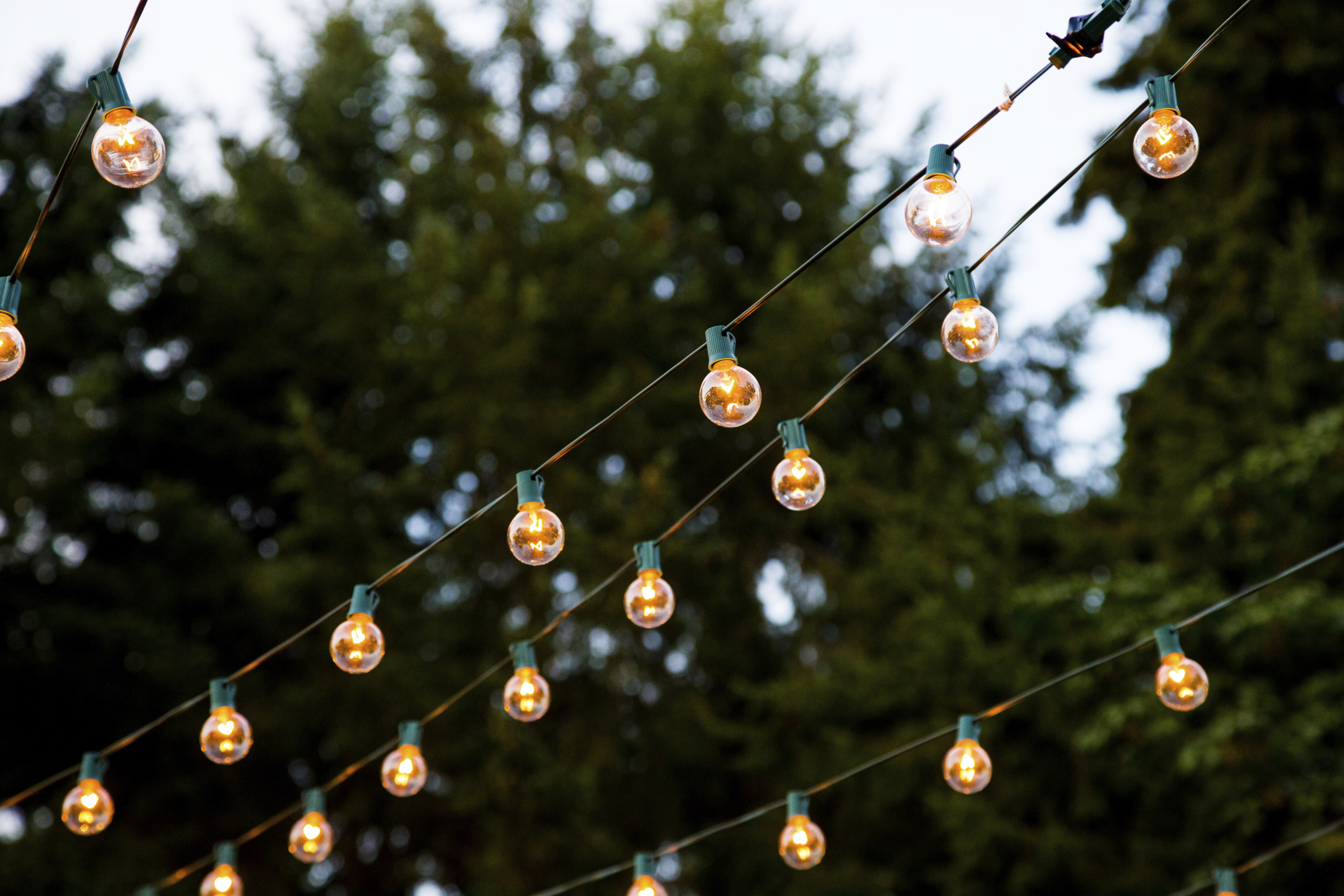 Wedding Reception String Lights