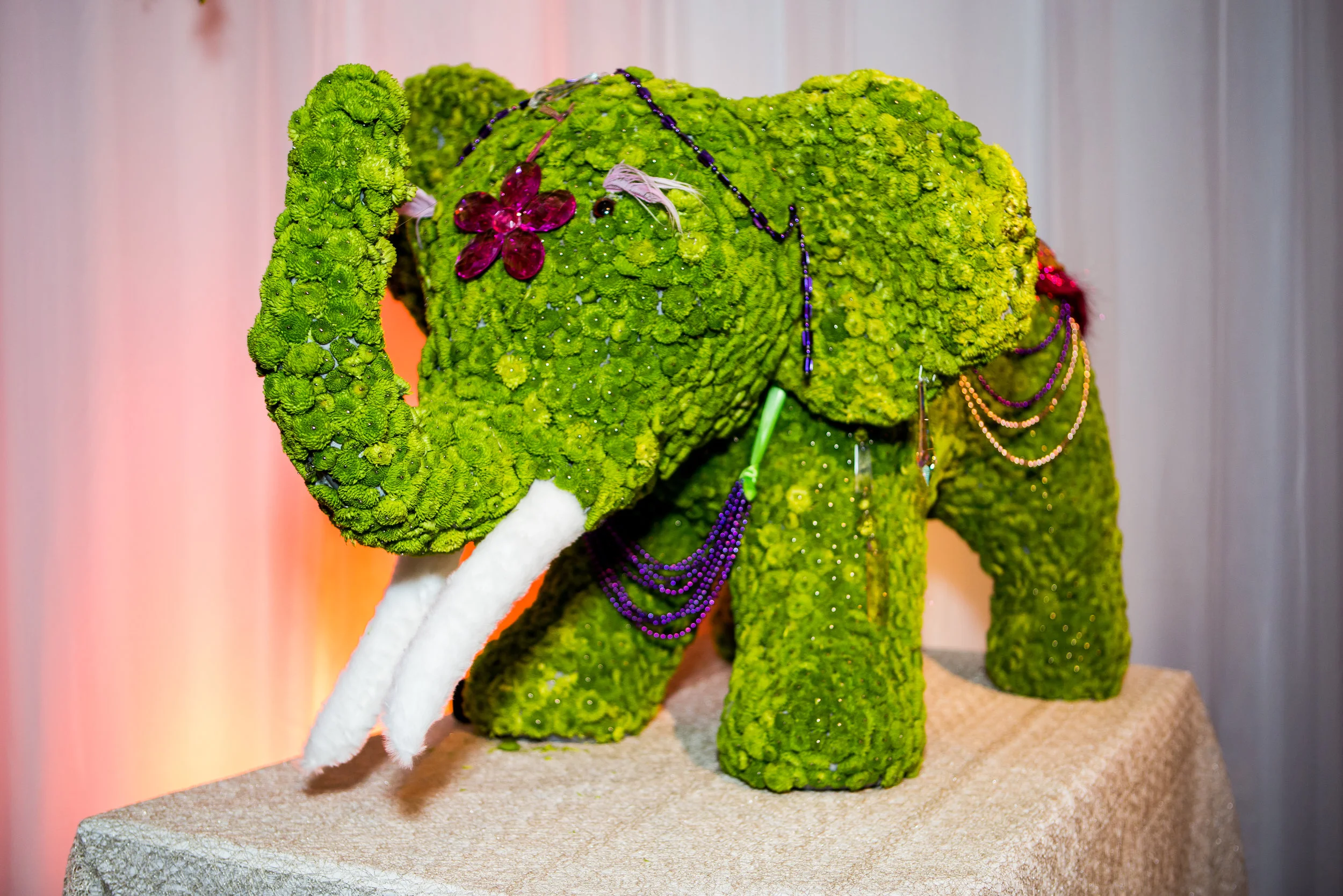 marin_jeev_flowerdetails_0009.jpg