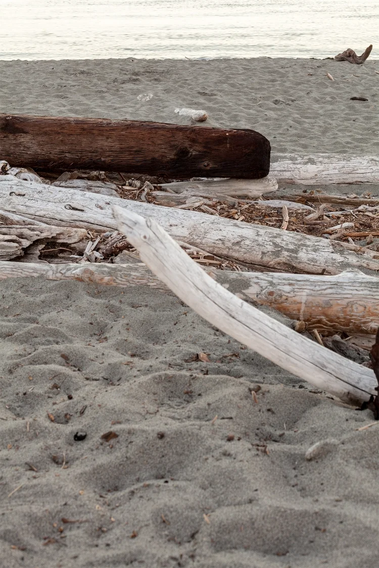 Fort Worden Beach, 2016