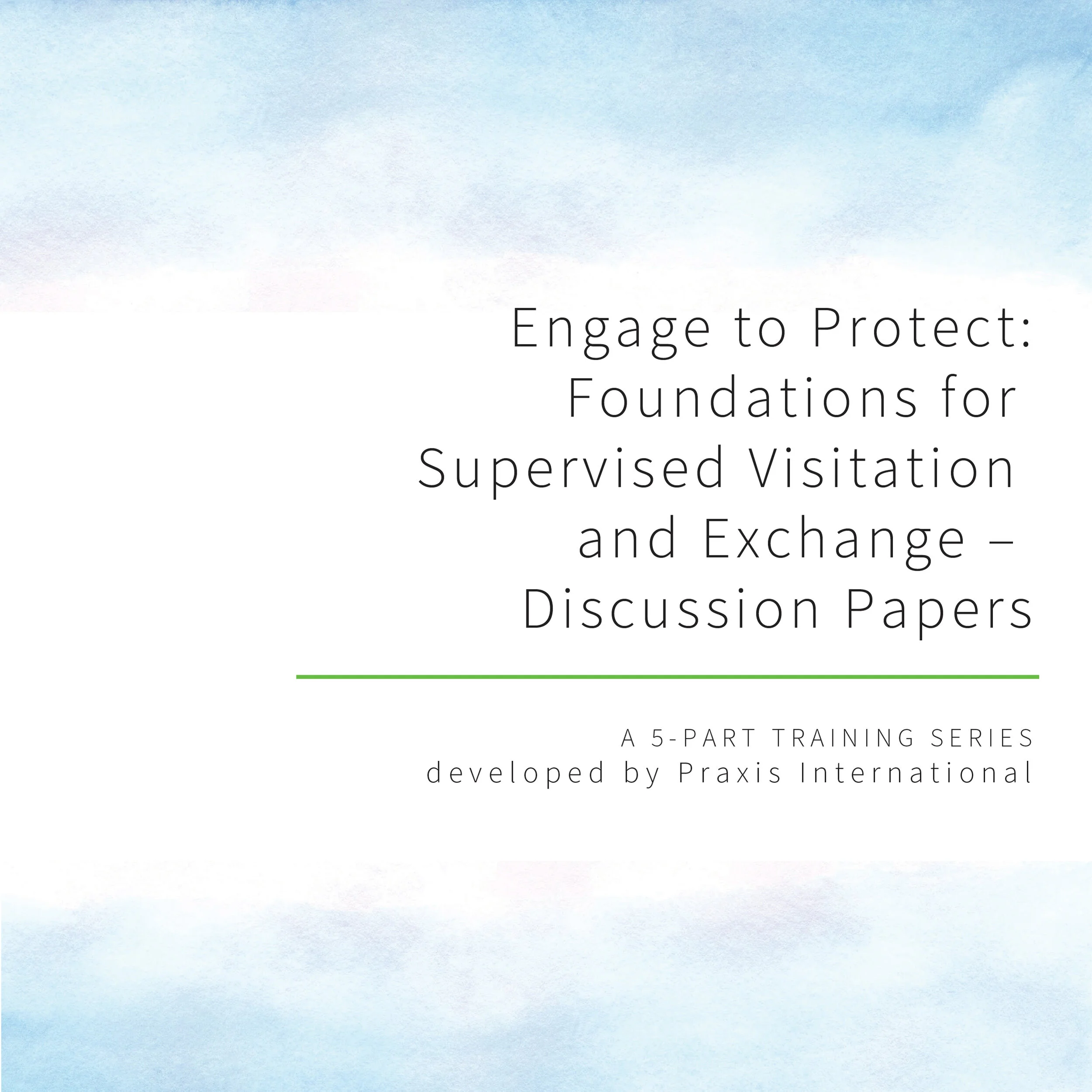 Engage to Protect: Foundations for Supervised Visitation and Exchange – Discussion Papers
