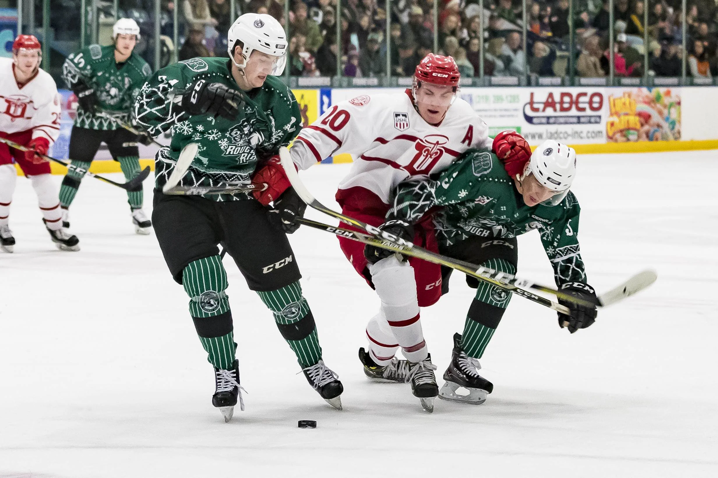 Cedar Rapids Rough Riders: Ugly Sweater Jersey Auction
