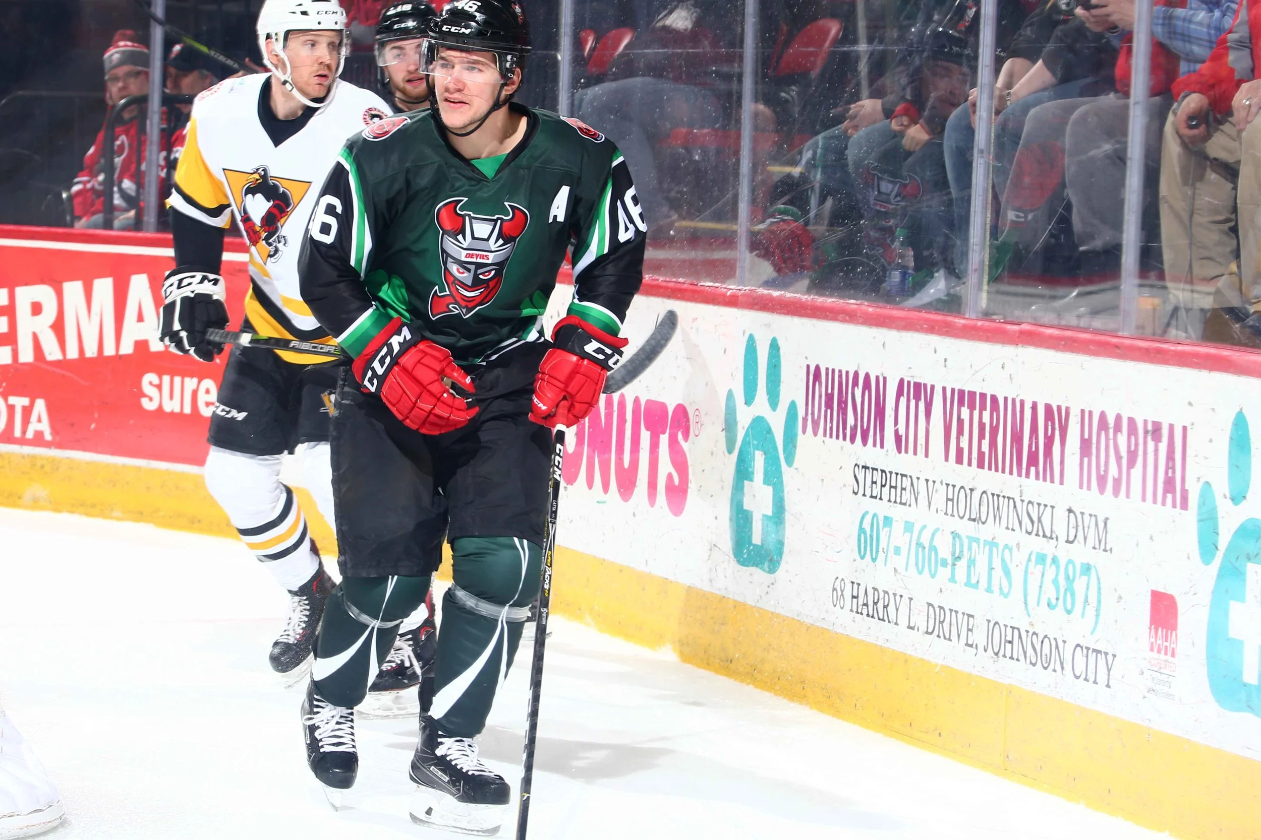 Binghamton Devils: St. Patty's Day Game