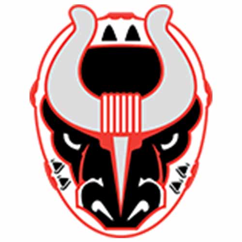Birmingham Bulls: Military Appreciation Night