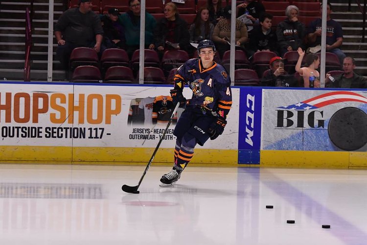Swamp Rabbits: Stick It To Cancer Night