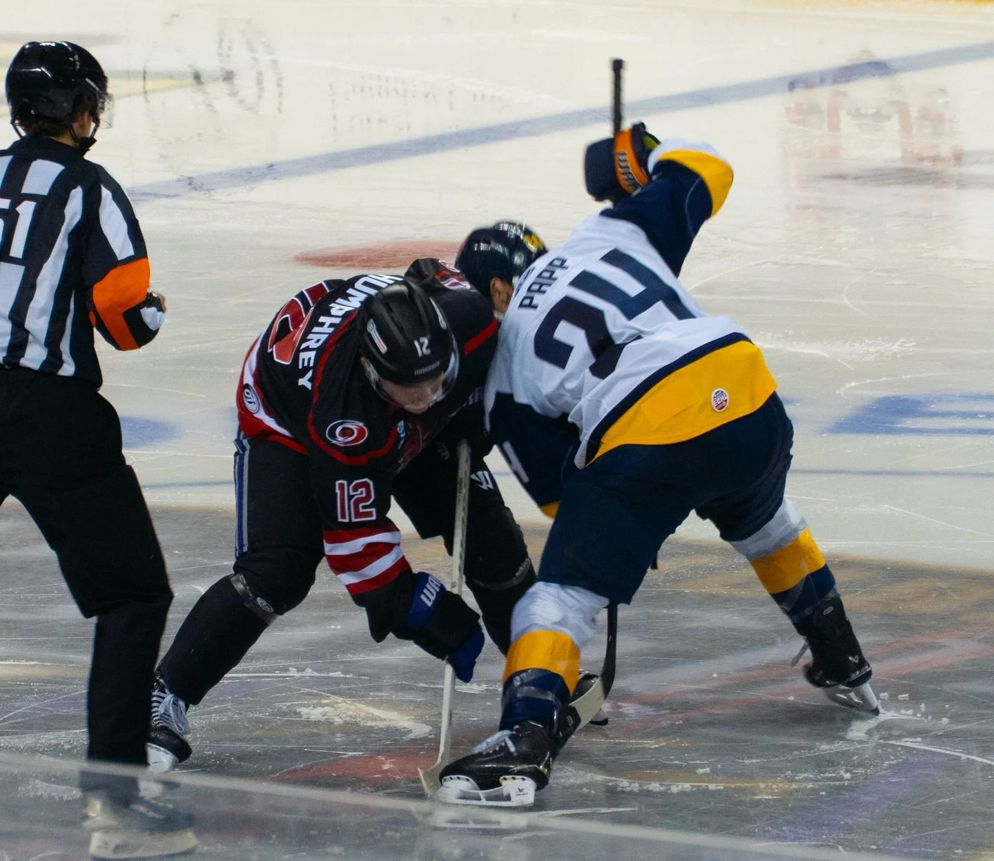 When the storm rolls in, gargoyles bring the heat. 🏒⚡️
@gsogargoyles x @canes 

#affiliationnight #canesxgargoyles #hockey #gameday