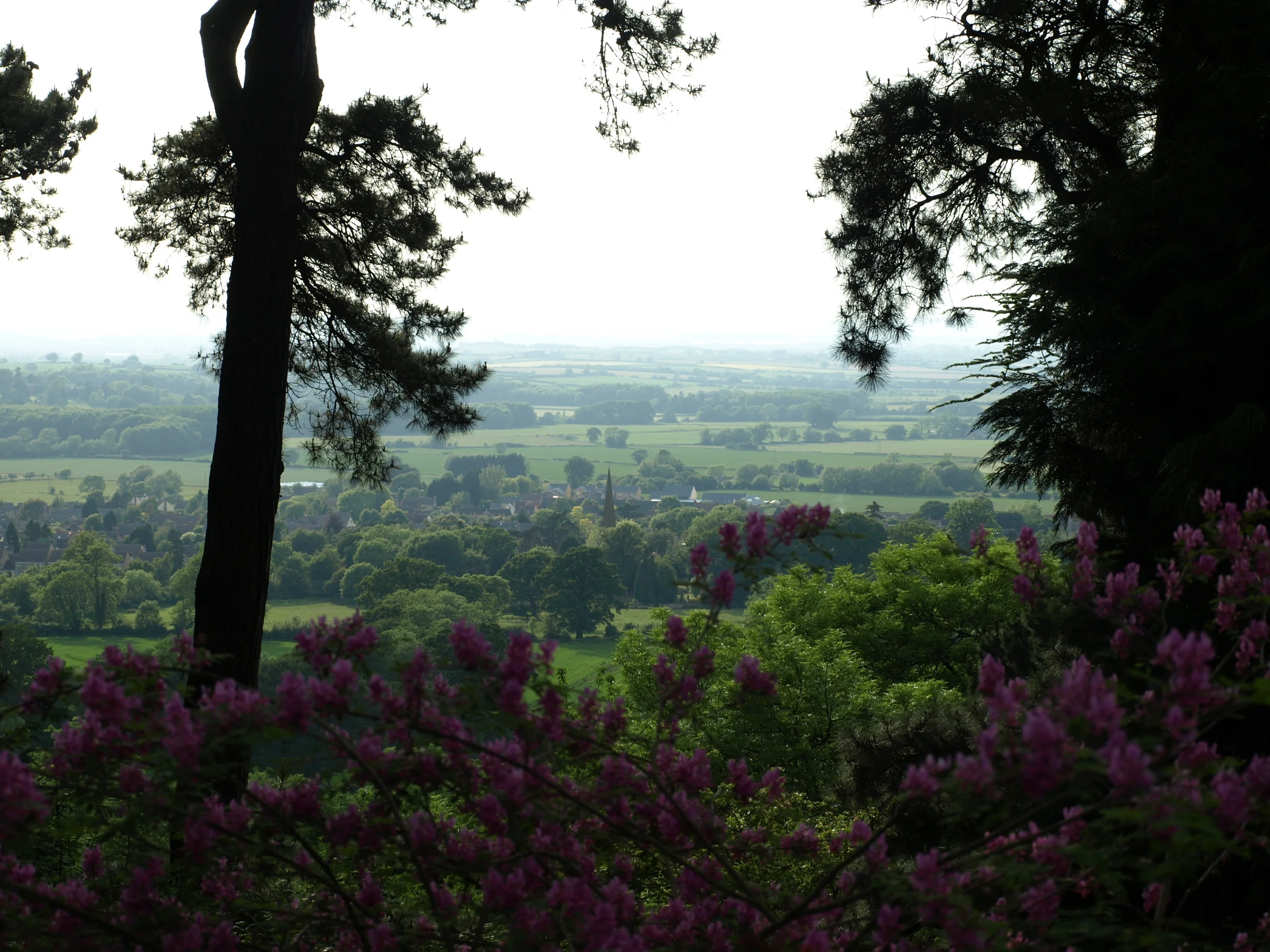View towards Mickleton.JPG