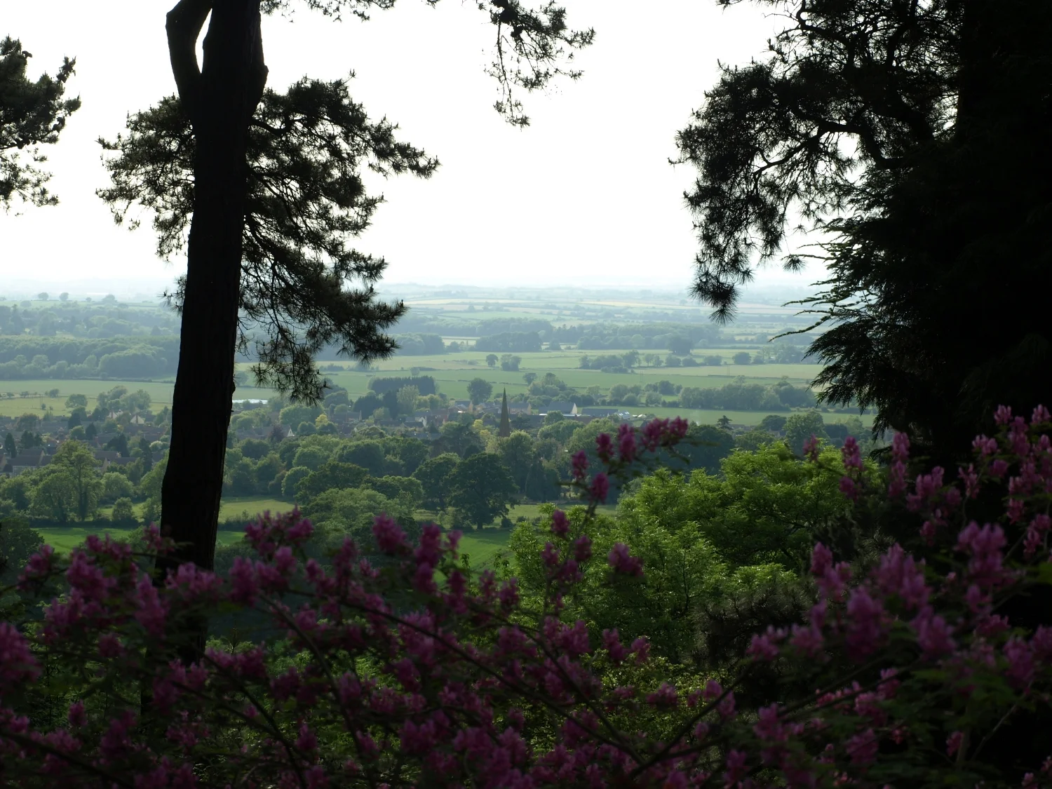 View towards Mickleton.JPG