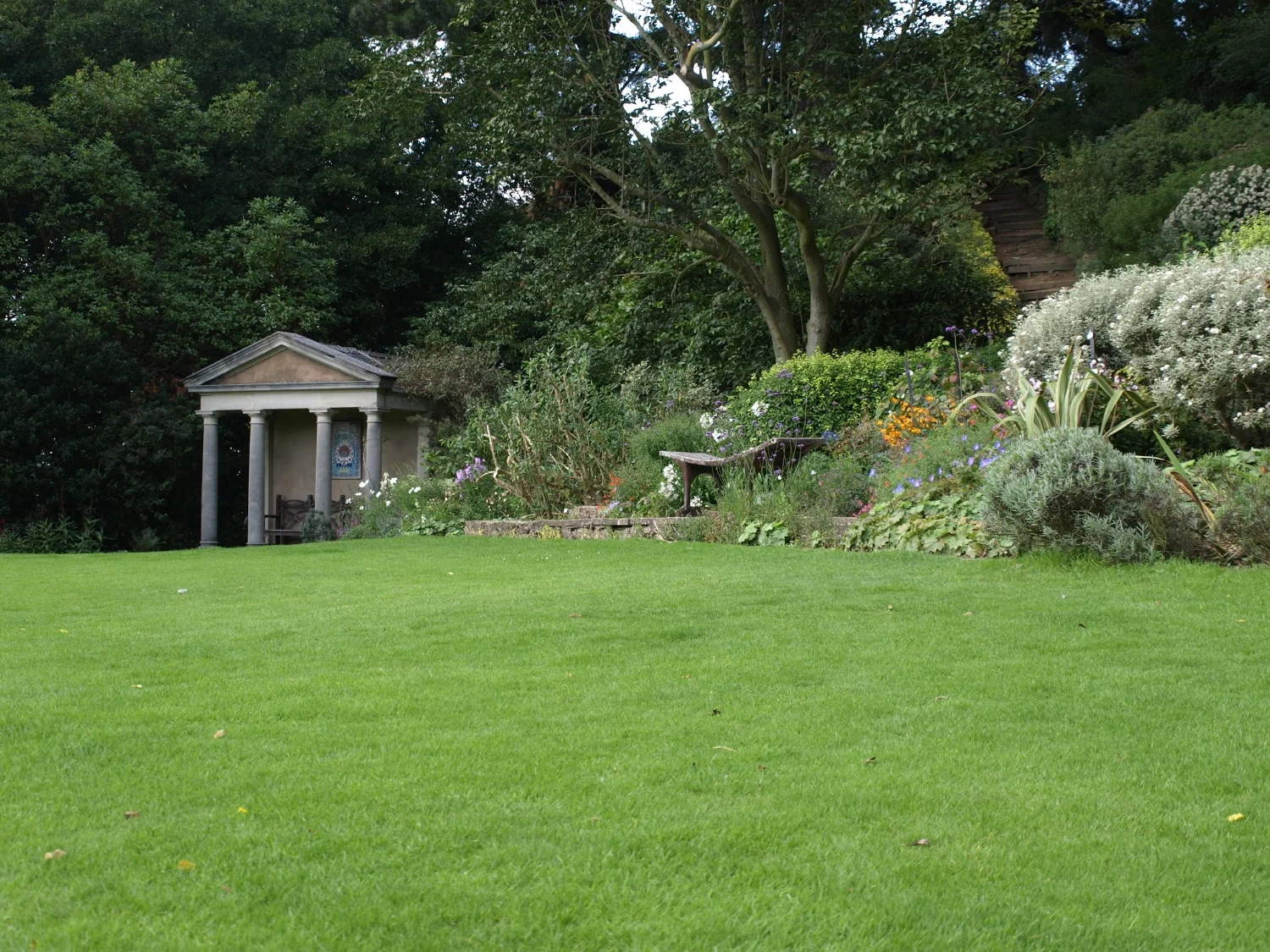 Lower garden lawn.JPG