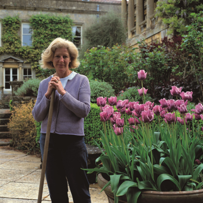 Anne Chambers