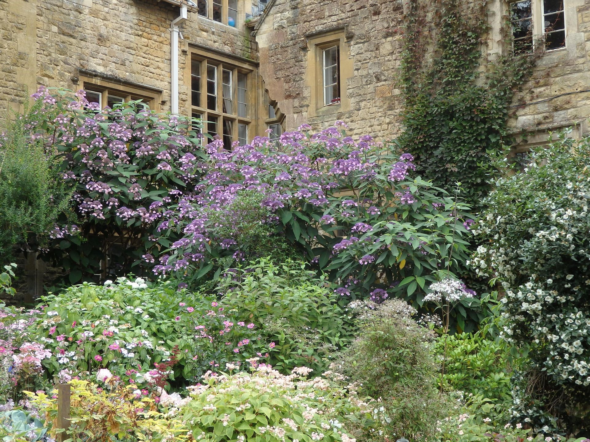 Borders near the White Sunk Garden
