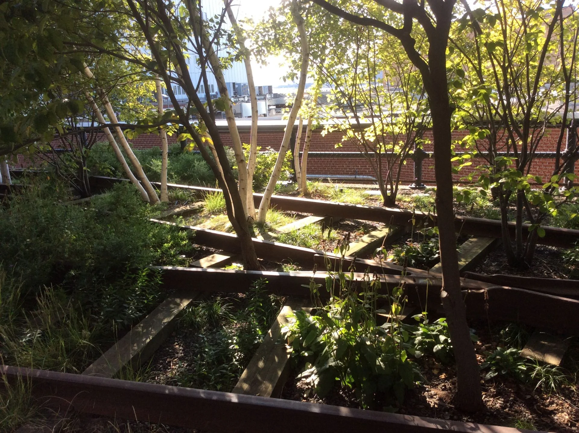 The High Line