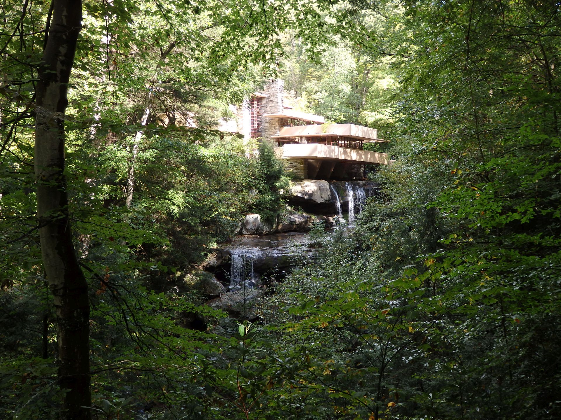 Falling Water