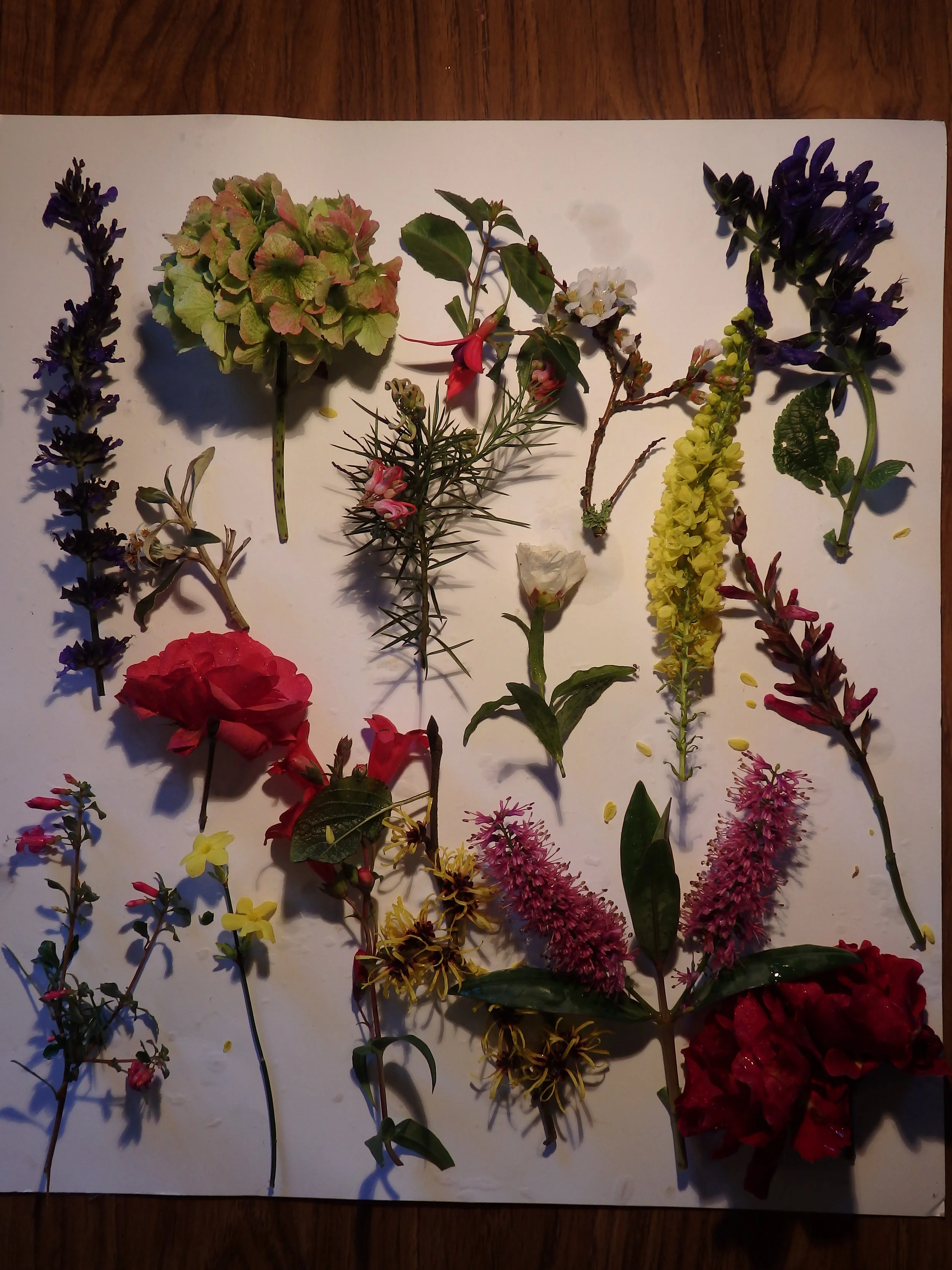 New Year flowers