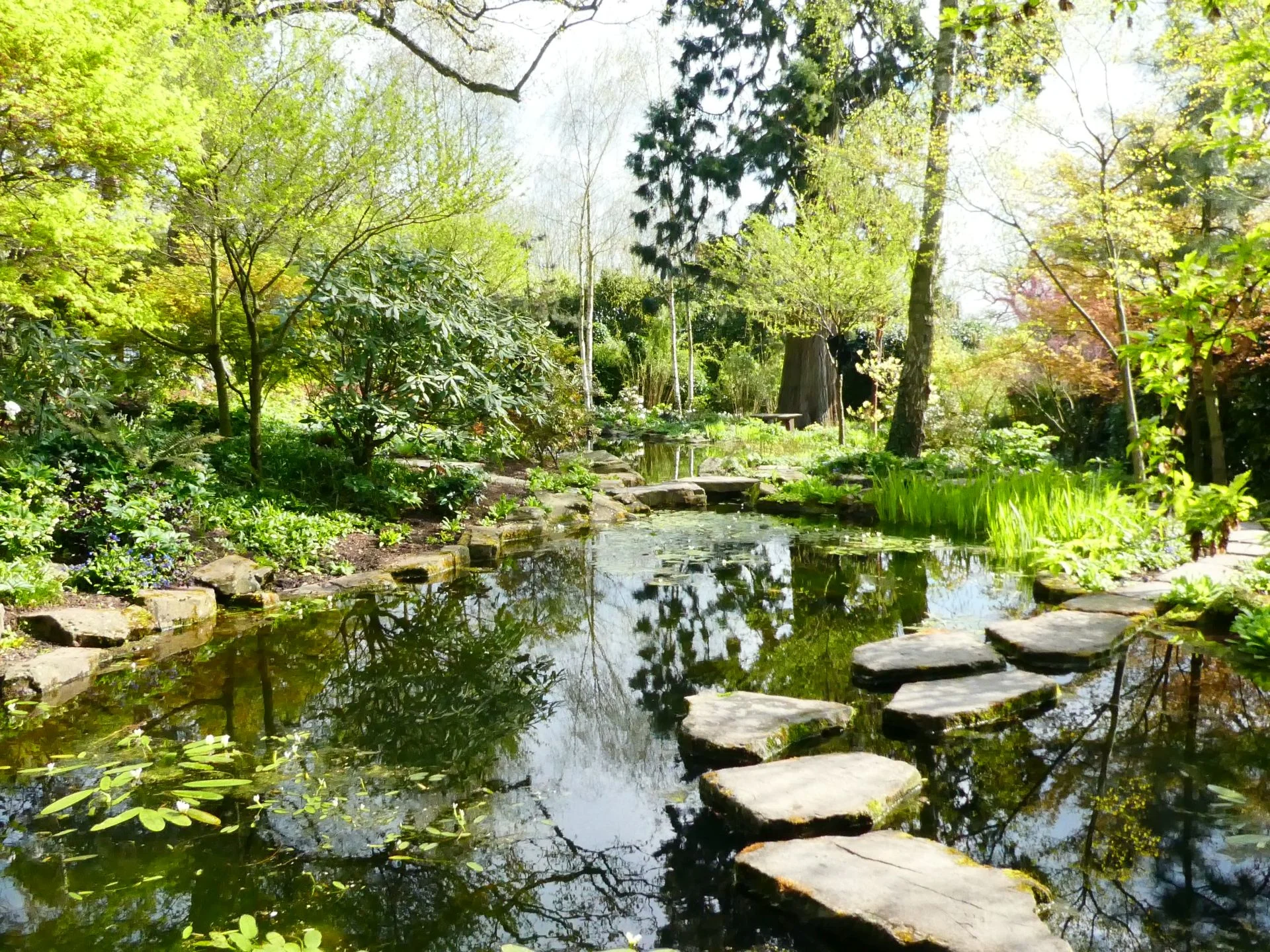 Morton Hall’s Japanese lake