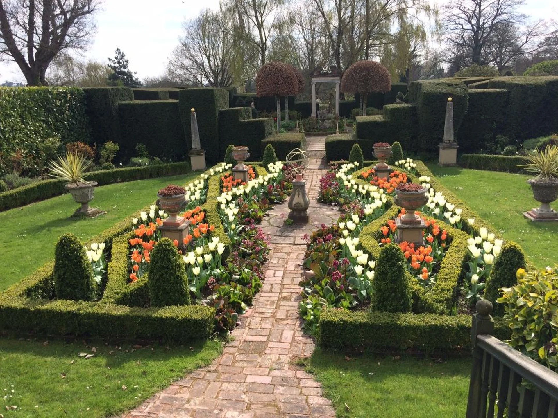 Tulips at The Lasket